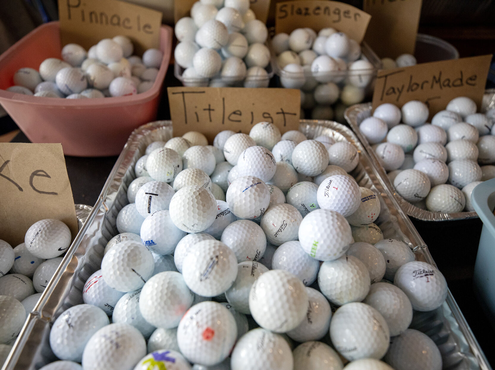 hundreds of balls.jpg
